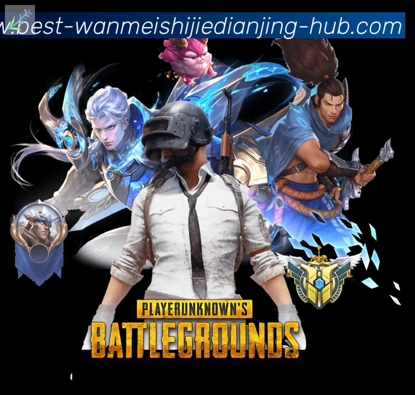 奖项证书
